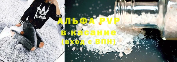 дживик Няндома