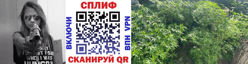 блэк спрут ССЫЛКА  Углегорск  Конопля гибрид 
